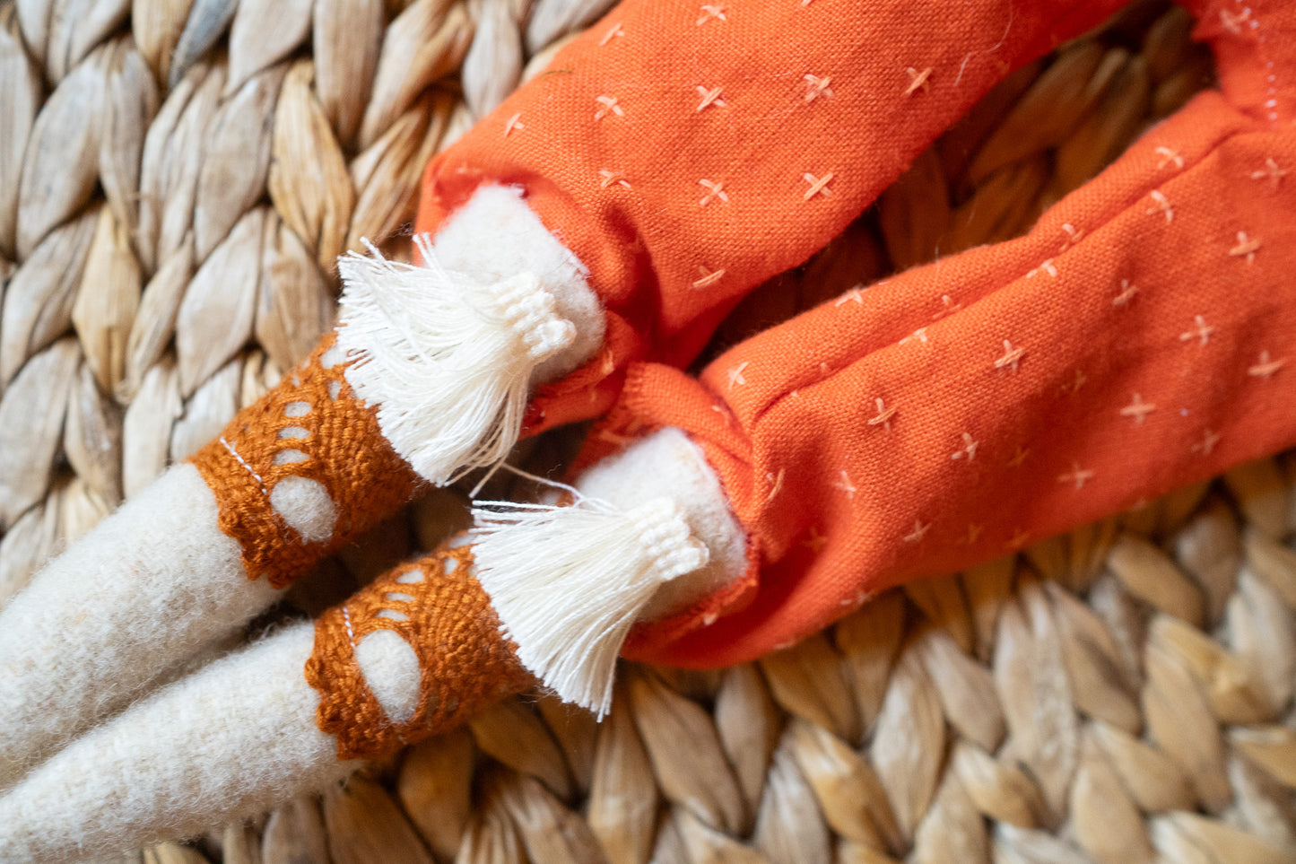 forage mushroom fairytale boy