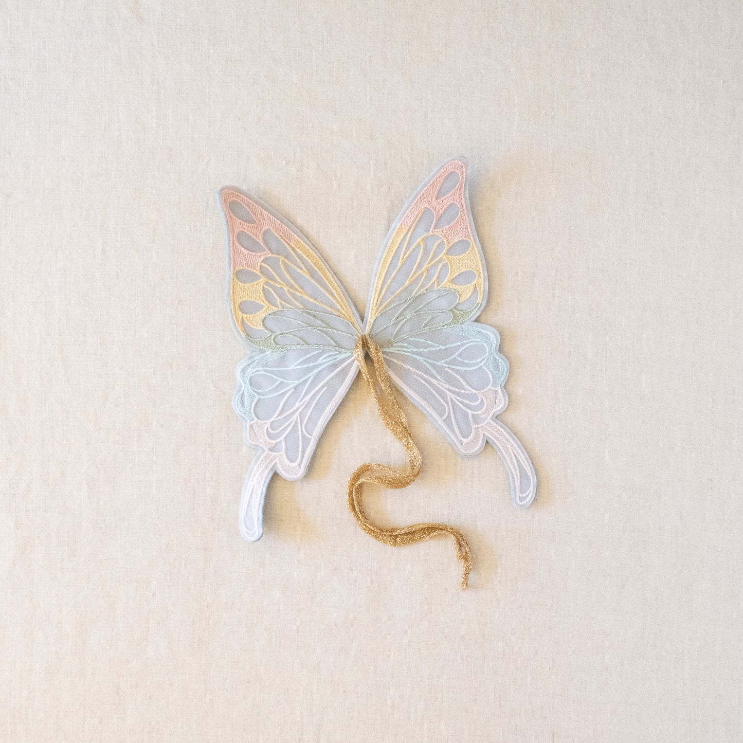 rainbow butterfly wings